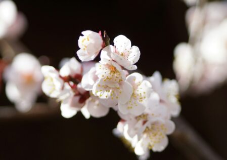 信頼関係の重要性
